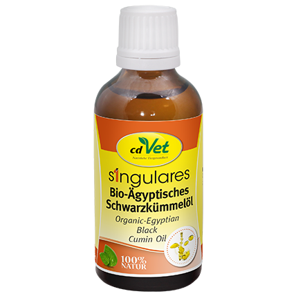 Essen, Würzen, Sirup, Kräuterig, Pflanze