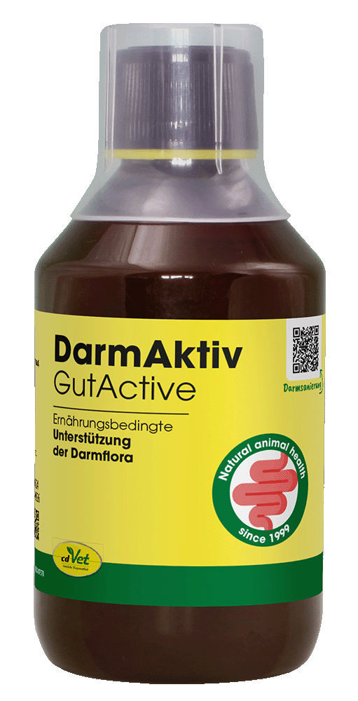 DarmAktiv, GutActive, Nahrungsergänzung, Darmflora, Kautemittel