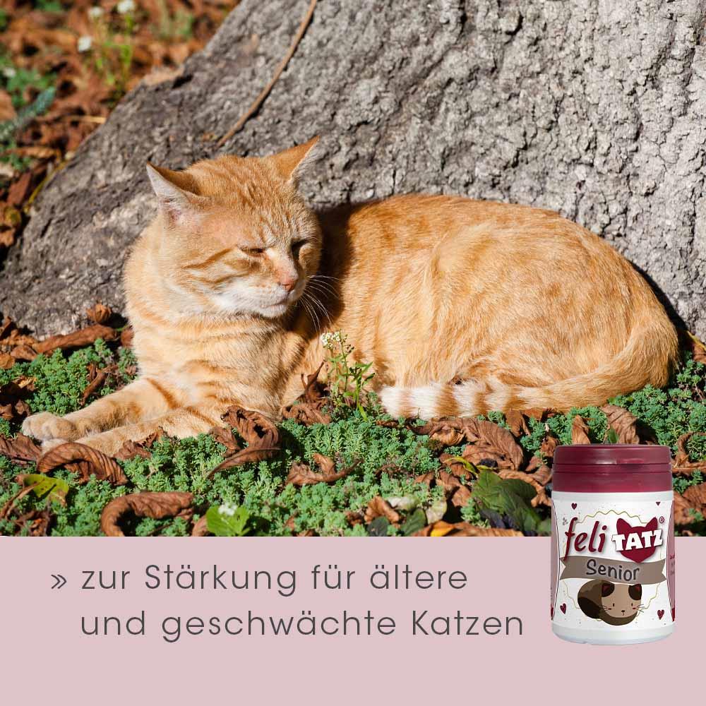 feliTATZ Senior 25 g