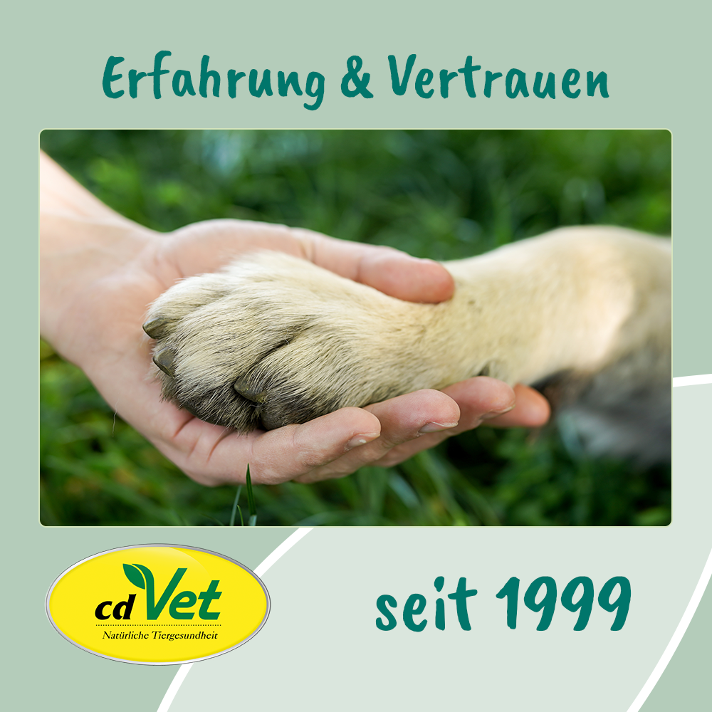 VeaVet Lebermoos Ohrspülung 100 ml