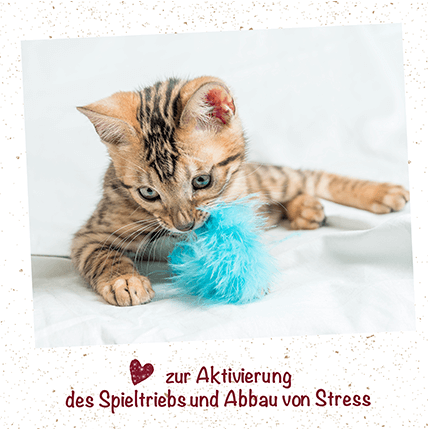 feliTATZ KatzenMinze Spray 50 ml