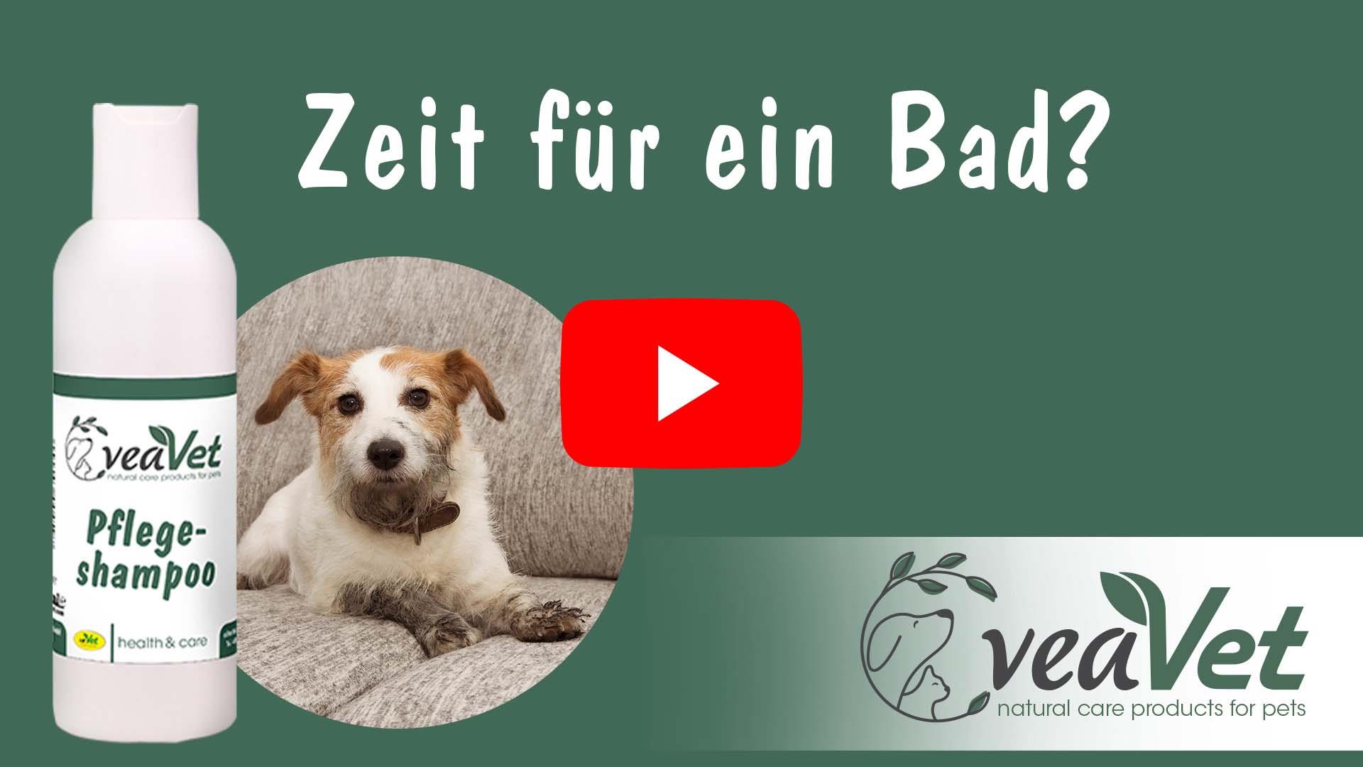 Flasche, Lotion, Kräuterig, Pflanze, Hund